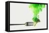 Disintegrated Broccoli-Dina Belenko-Framed Stretched Canvas