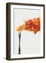 Disintegrated Orange-Dina Belenko-Framed Giclee Print