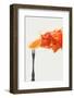 Disintegrated orange-Dina Belenko-Framed Photographic Print