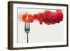 Disintegrated Tomato-Dina Belenko-Framed Giclee Print