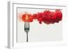 Disintegrated Tomato-Dina Belenko-Framed Giclee Print