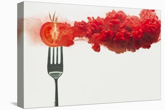 Disintegrated Tomato-Dina Belenko-Stretched Canvas