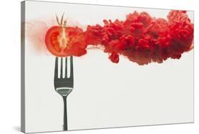 Disintegrated Tomato-Dina Belenko-Stretched Canvas