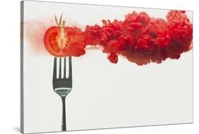 Disintegrated Tomato-Dina Belenko-Stretched Canvas
