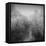 Disintegration-Tomislav Bogovic-Framed Stretched Canvas