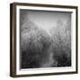 Disintegration-Tomislav Bogovic-Framed Photographic Print