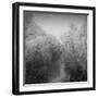 Disintegration-Tomislav Bogovic-Framed Photographic Print