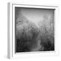 Disintegration-Tomislav Bogovic-Framed Photographic Print