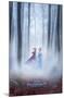 Disney Frozen 2 - One Sheet-Trends International-Mounted Poster