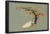 Disney Mulan - Tree-Trends International-Framed Poster