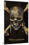 Disney Pirates: DMTNT - Skull And Crossbones-Trends International-Mounted Poster