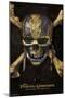 Disney Pirates: DMTNT - Skull And Crossbones-Trends International-Mounted Poster
