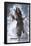 Disney Pirates of the Caribbean: On Stranger Tides - Jack-Trends International-Framed Poster