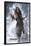 Disney Pirates of the Caribbean: On Stranger Tides - Jack-Trends International-Framed Poster