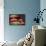 Disney Pixar Cars 2 - Racing Rivals-Trends International-Framed Poster displayed on a wall