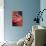 Disney Pixar Cars - Piston Cup-Trends International-Poster displayed on a wall