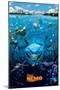 Disney Pixar Finding Nemo - Cast-Trends International-Mounted Poster