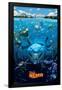 Disney Pixar Finding Nemo - Cast-Trends International-Framed Poster