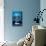 Disney Pixar Finding Nemo - One Sheet-Trends International-Mounted Poster displayed on a wall