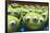 Disney Pixar Toy Story - Aliens-Trends International-Framed Poster