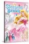Disney Sleeping Beauty - Cover-Trends International-Stretched Canvas