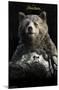 Disney The Jungle Book - Baloo-Trends International-Mounted Poster