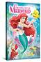 Disney The Little Mermaid - Cover-Trends International-Stretched Canvas