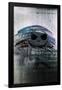 Disney Tim Burton's The Nightmare Before Christmas - Jack Mirror-Trends International-Framed Poster