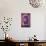 Disney Tim Burton's The Nightmare Before Christmas - Love-Trends International-Poster displayed on a wall