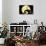 Disney Tim Burton's The Nightmare Before Christmas - Moonlight-Trends International-Poster displayed on a wall