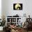 Disney Tim Burton's The Nightmare Before Christmas - Moonlight-Trends International-Mounted Poster displayed on a wall