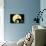 Disney Tim Burton's The Nightmare Before Christmas - Moonlight-Trends International-Poster displayed on a wall