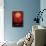 Disney Tim Burton's The Nightmare Before Christmas - Red Jack-Trends International-Framed Poster displayed on a wall