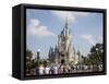 Disney World, Orlando, Florida, USA-Angelo Cavalli-Framed Stretched Canvas