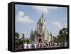 Disney World, Orlando, Florida, USA-Angelo Cavalli-Framed Stretched Canvas