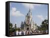 Disney World, Orlando, Florida, USA-Angelo Cavalli-Framed Stretched Canvas