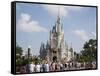 Disney World, Orlando, Florida, USA-Angelo Cavalli-Framed Stretched Canvas