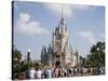 Disney World, Orlando, Florida, USA-Angelo Cavalli-Stretched Canvas