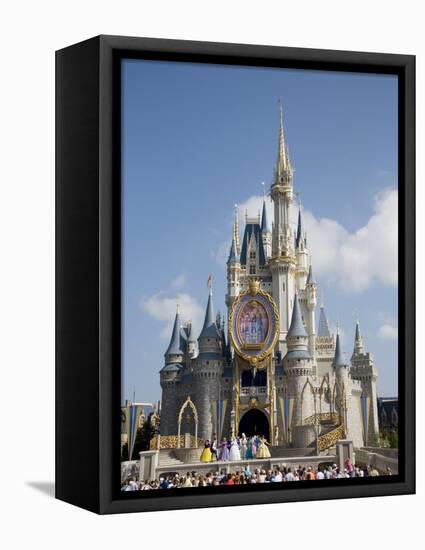 Disney World, Orlando, Florida, USA-Angelo Cavalli-Framed Stretched Canvas