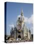 Disney World, Orlando, Florida, USA-Angelo Cavalli-Stretched Canvas