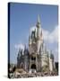 Disney World, Orlando, Florida, USA-Angelo Cavalli-Stretched Canvas