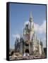 Disney World, Orlando, Florida, USA-Angelo Cavalli-Framed Stretched Canvas