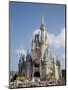 Disney World, Orlando, Florida, USA-Angelo Cavalli-Mounted Photographic Print