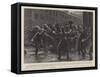 Disorderly Emigrants at Liverpool, a Consignment of Spanish Donkeys-null-Framed Stretched Canvas