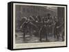 Disorderly Emigrants at Liverpool, a Consignment of Spanish Donkeys-null-Framed Stretched Canvas