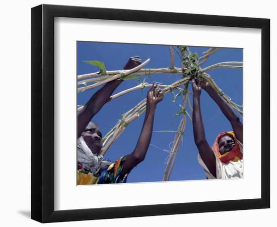 Displaced Sudanese Women Try to Rebuild their Tents in Refugee Camp in the Darfur Area of Sudan-null-Framed Photographic Print