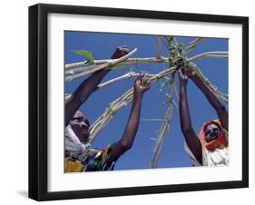 Displaced Sudanese Women Try to Rebuild their Tents in Refugee Camp in the Darfur Area of Sudan-null-Framed Photographic Print