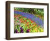 Display garden in full bloom-Terry Eggers-Framed Photographic Print