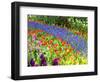 Display garden in full bloom-Terry Eggers-Framed Photographic Print