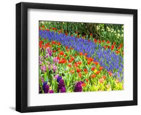 Display garden in full bloom-Terry Eggers-Framed Photographic Print